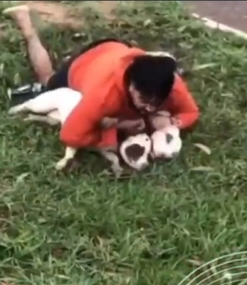 5 cosas que demuestran la valentía de un luchador brasileño ante un violento ataque animal