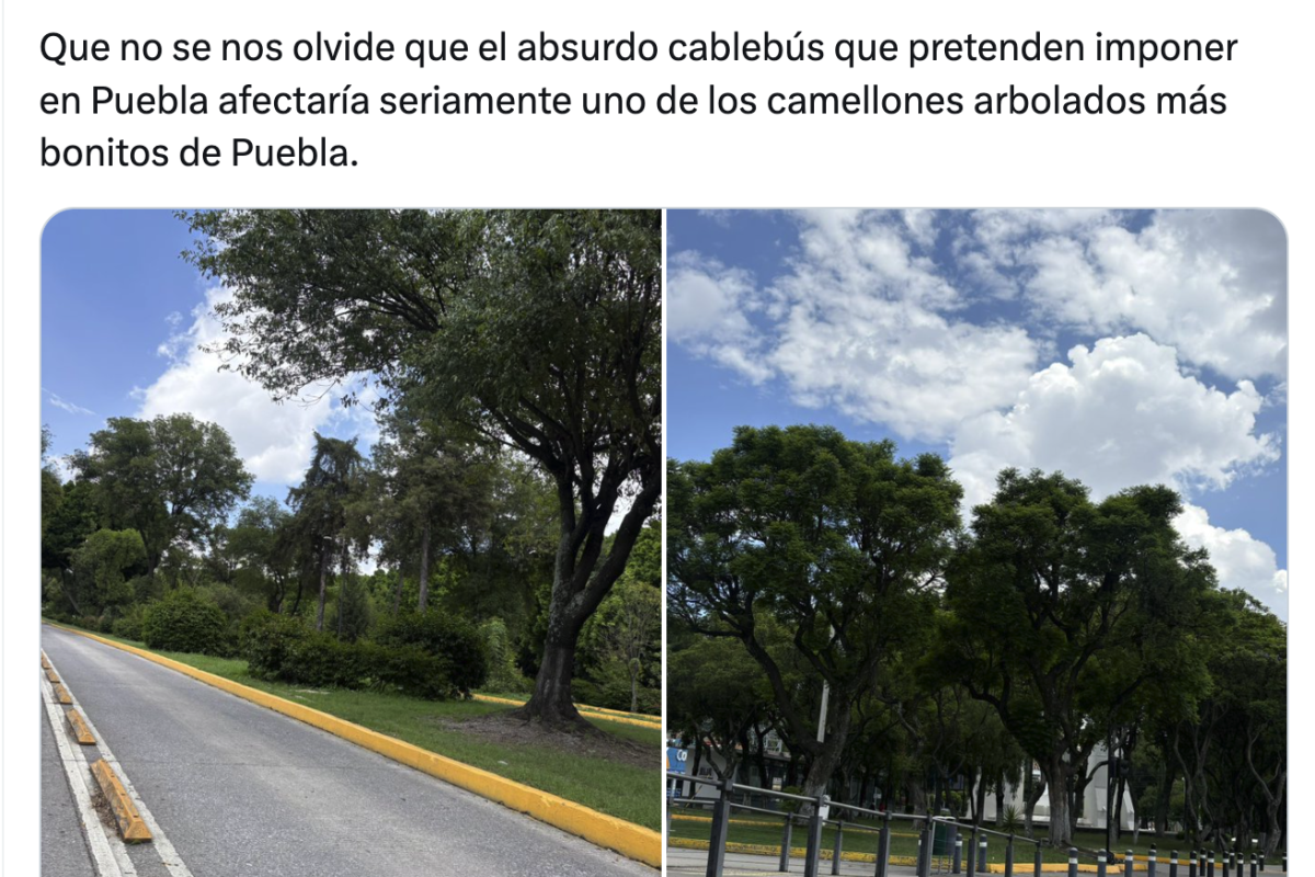 Does Puebla’s Cablebús Plan to Cut Down Trees on Bulevar 5 de Mayo? Here’s What We Know