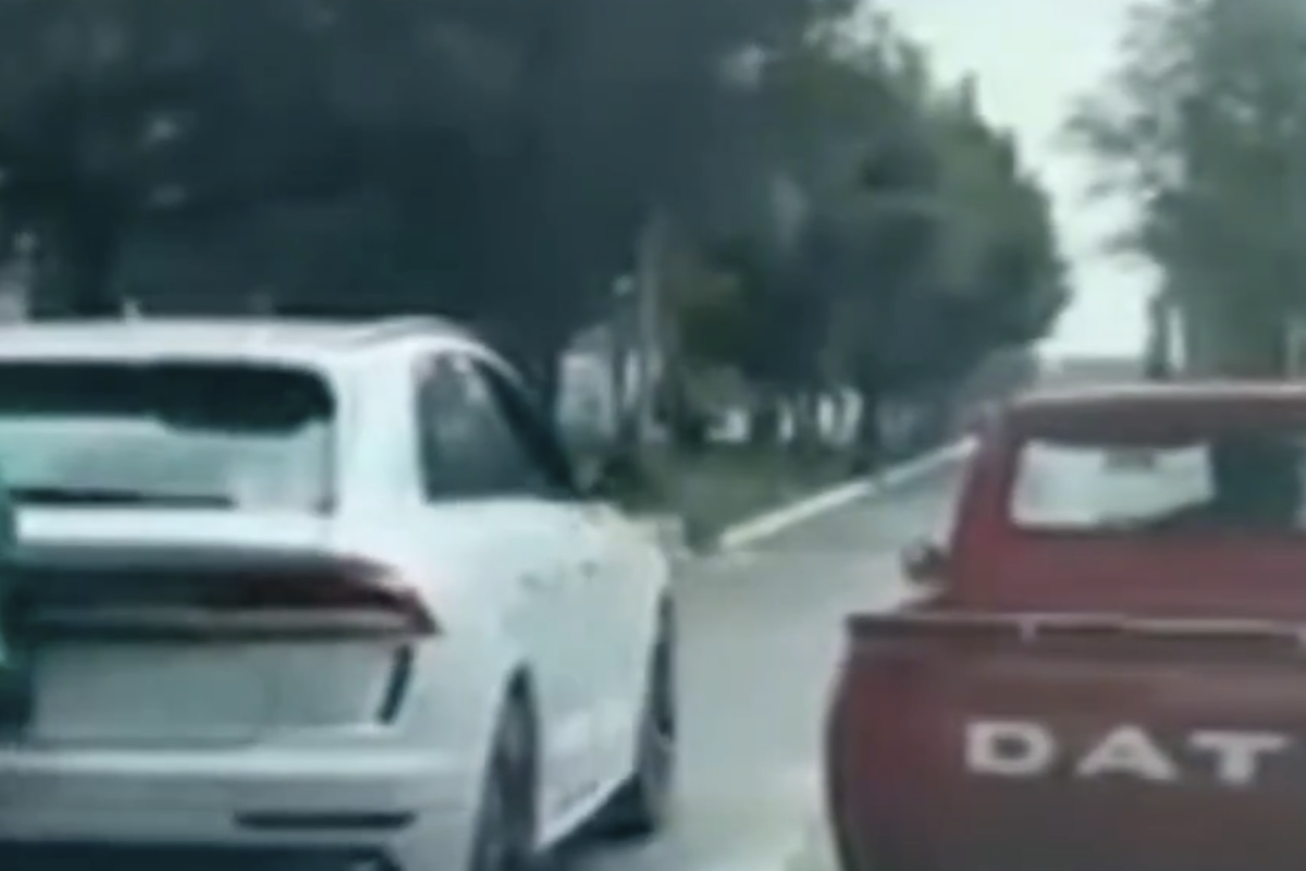 Road Rage Near Costco Puebla Ends with Dog Jumping from Vehicle in Panic