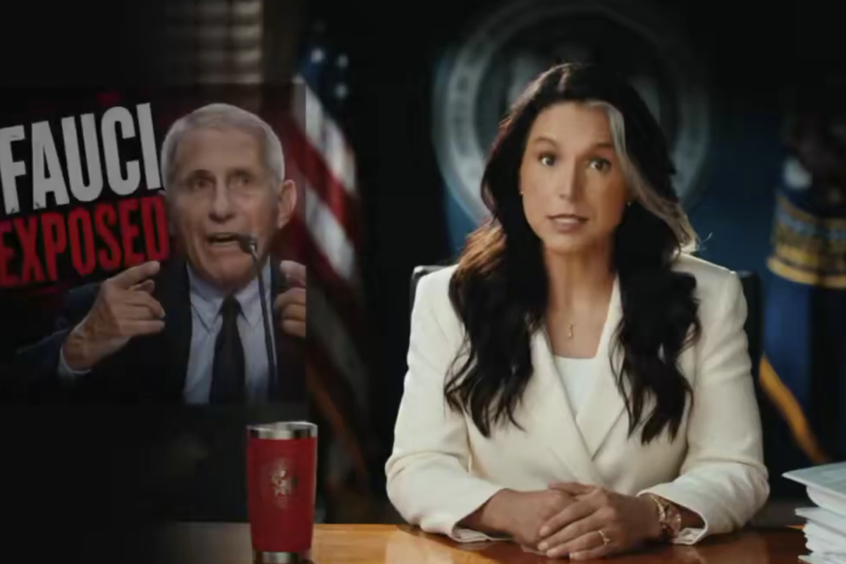 Tulsi Gabbard Releases Documents Accusing Fauci of Suppressing COVID-19 Lab Leak Theory on Her Last Day as US Intelligence Chief