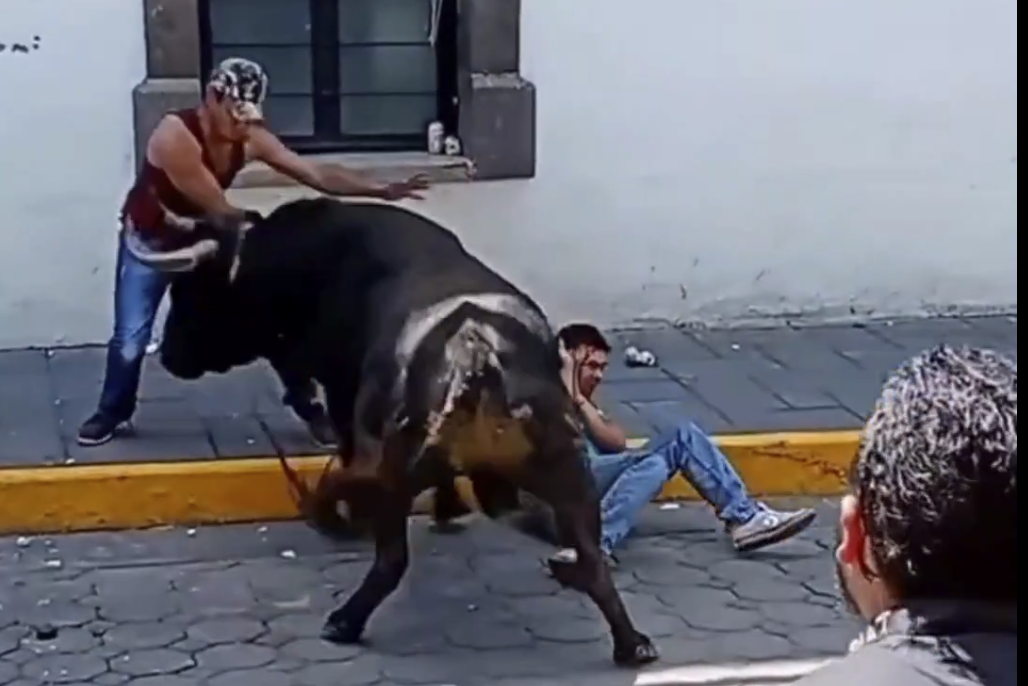 Two Construction Workers Injured During Street Bull Festival in Amaxac, Tlaxcala