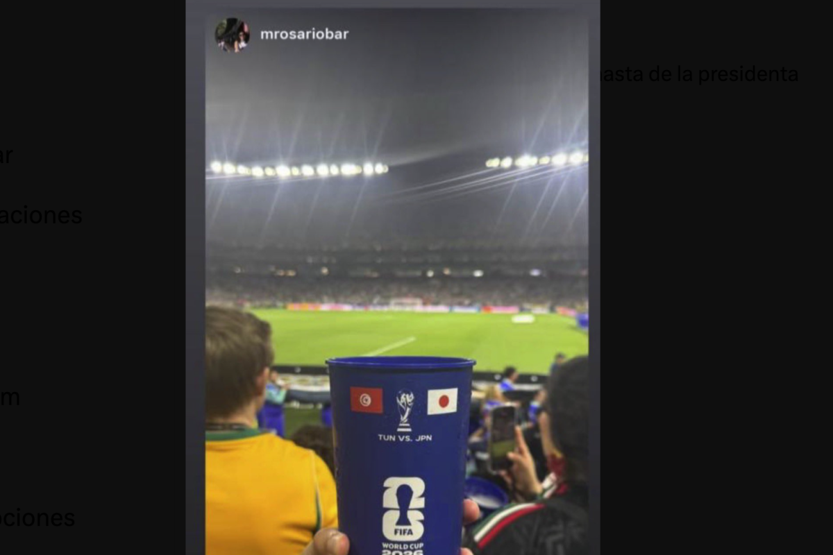 Daughter of Late Puebla Governor Spotted at Tunisia vs. Japan World Cup Match