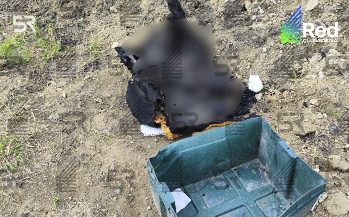 Human Remains Found in Puebla: Authorities Investigate Possible Torso Discovered Near Periférico Ecológico