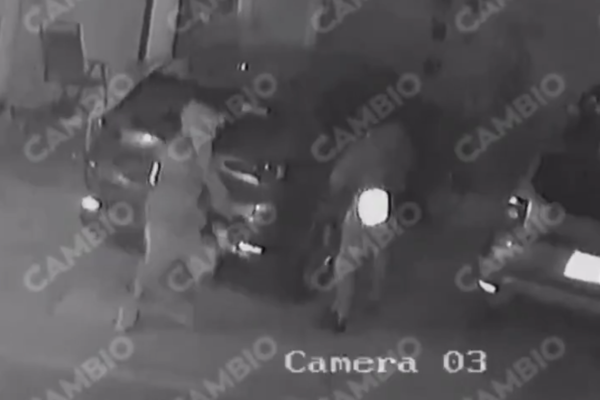 Armed robbery attempt in Puebla thwarted by alert neighbor and her dogs