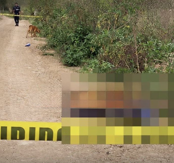 Armed Clash Reported in Puebla’s Sierra Norte Amid Drug Lab Seizure Claims