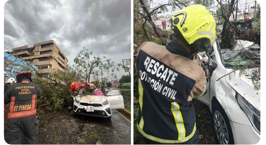 Woman Identified After Fatal Tree Collapse During Storm in Puebla