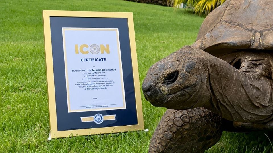 Jonathan, the World’s Oldest Known Land Animal, Celebrates 194 Years