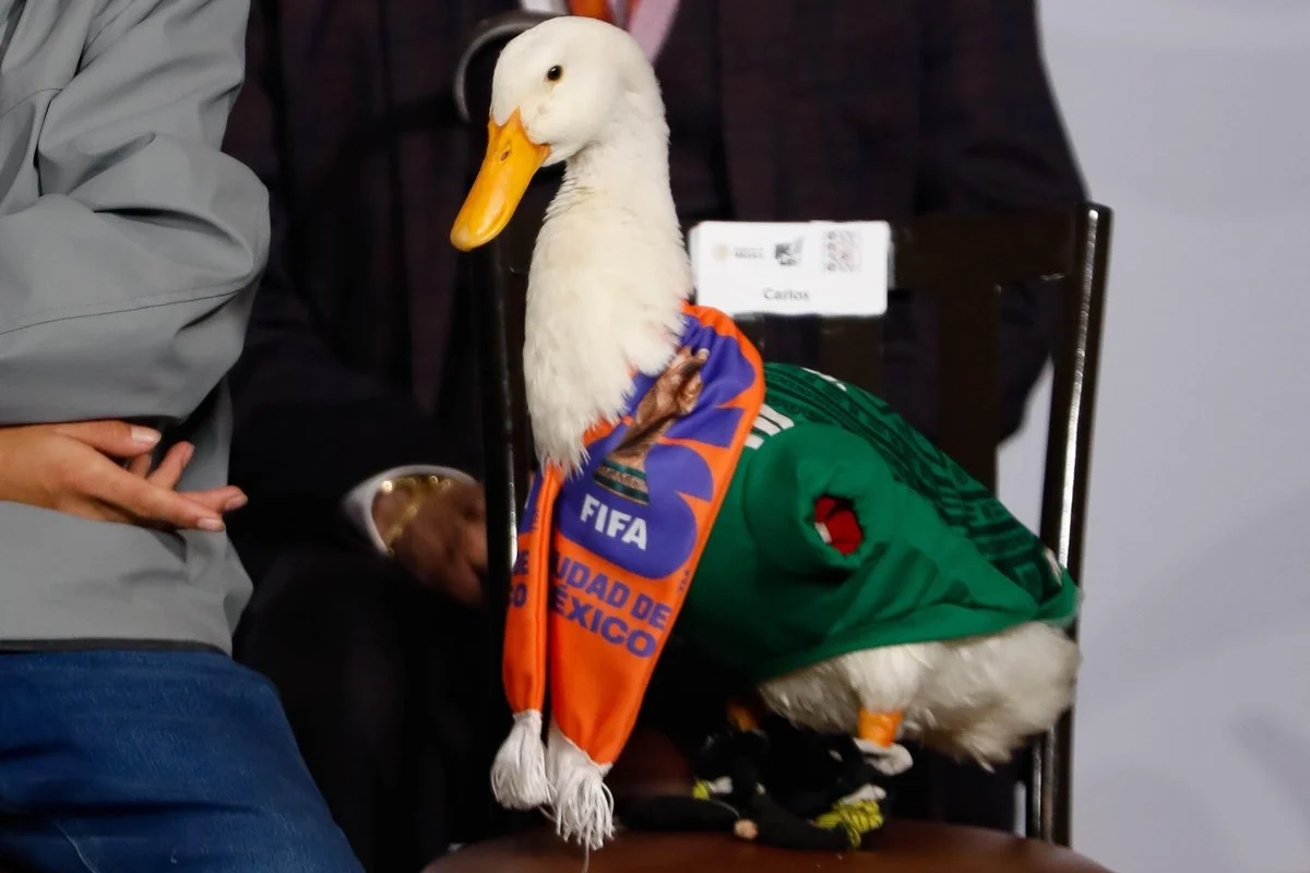 Who Owns the “Merlín Duck”? IMPI Confirms It Belongs to the Gómez Family