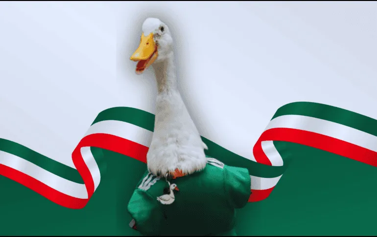 FIFA Names Merlín the Duck as Official Ambassador of Mexico City Amid Viral World Cup Craze