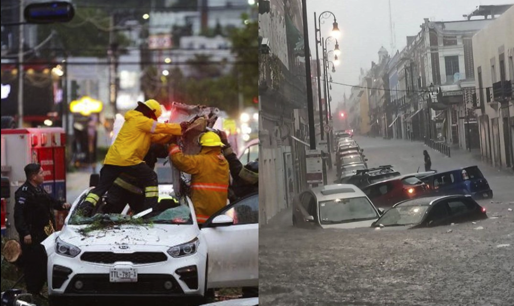 No compensation offered to family of woman killed by fallen tree during Puebla storm; no contact from city hall