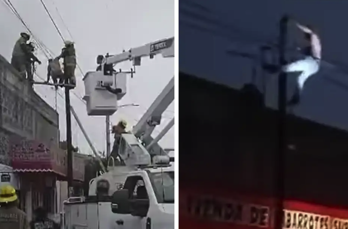Man Tries to Escape by Climbing Utility Pole, Ends Up Stuck for Over Six Hours in Chimalhuacán