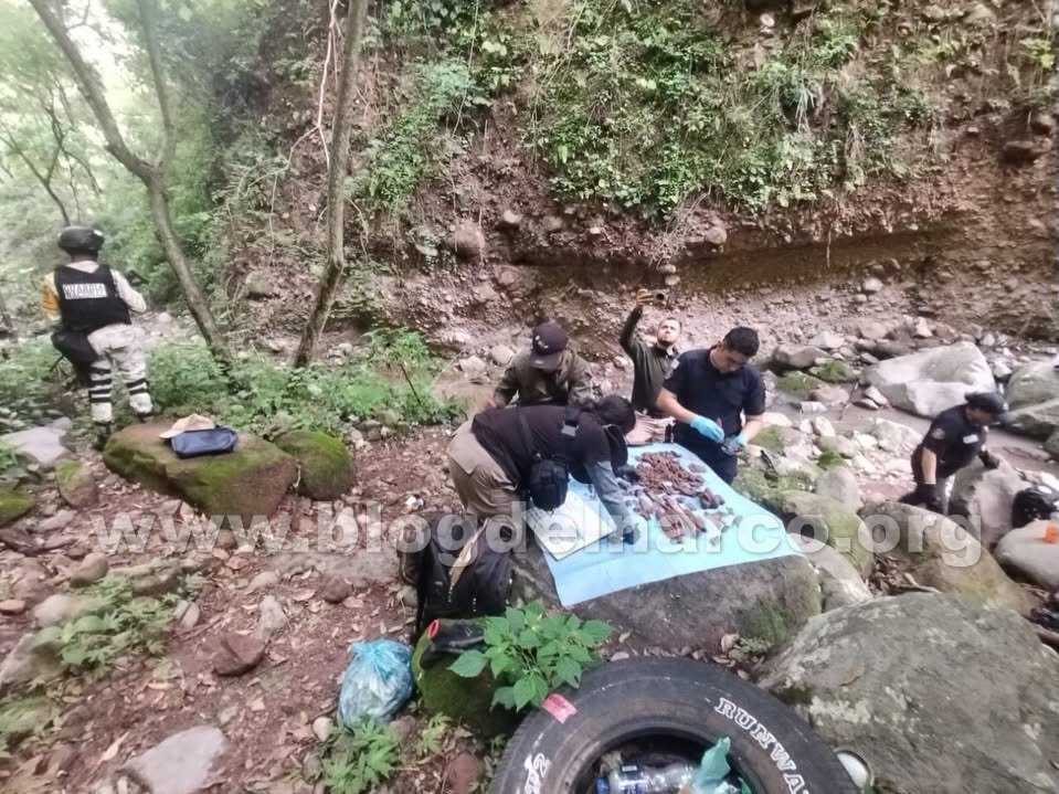 Mass Grave with 375 Bodies Found in Michoacán, Including Remains of Children Under Three