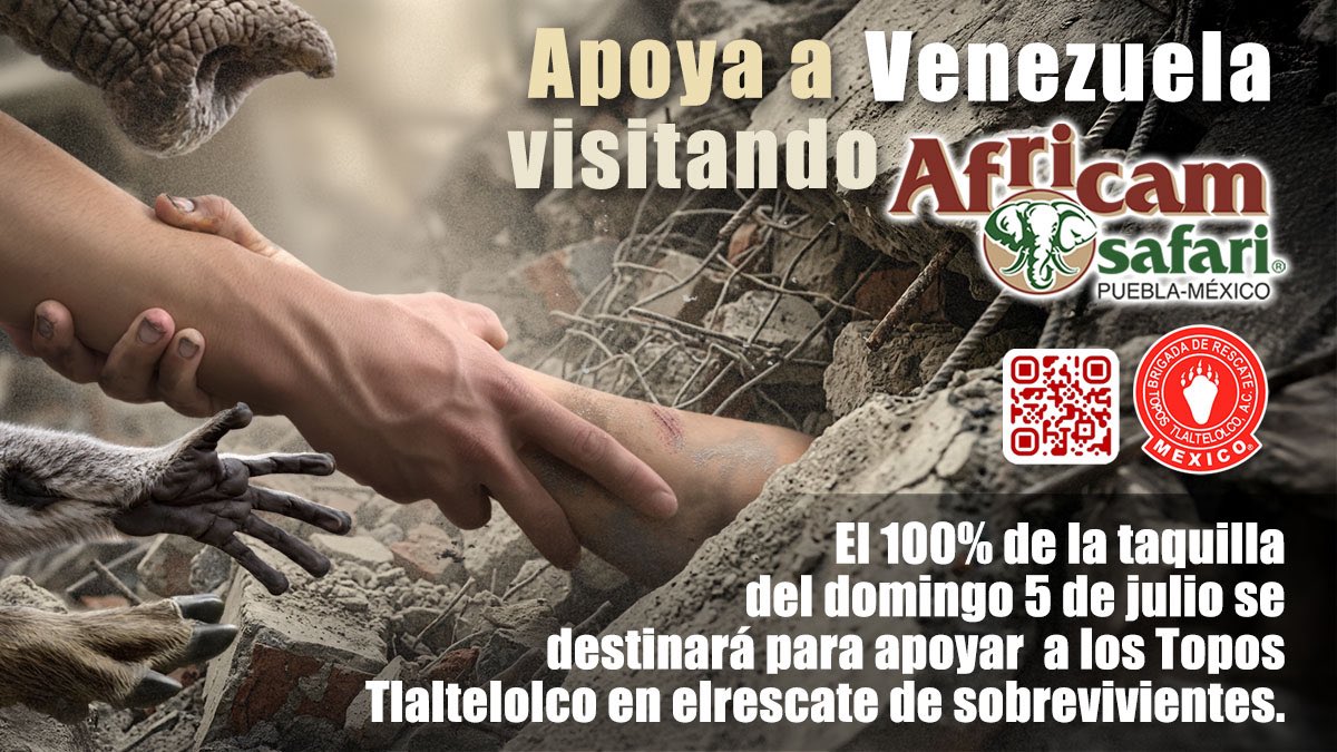 Africam Safari to Donate All Ticket Sales on July 5 to Support Earthquake Rescue Efforts in Venezuela