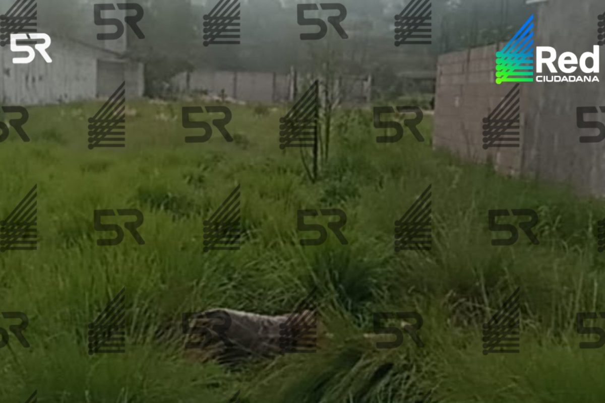 Man found dead near train tracks in San Jerónimo Caleras, Puebla