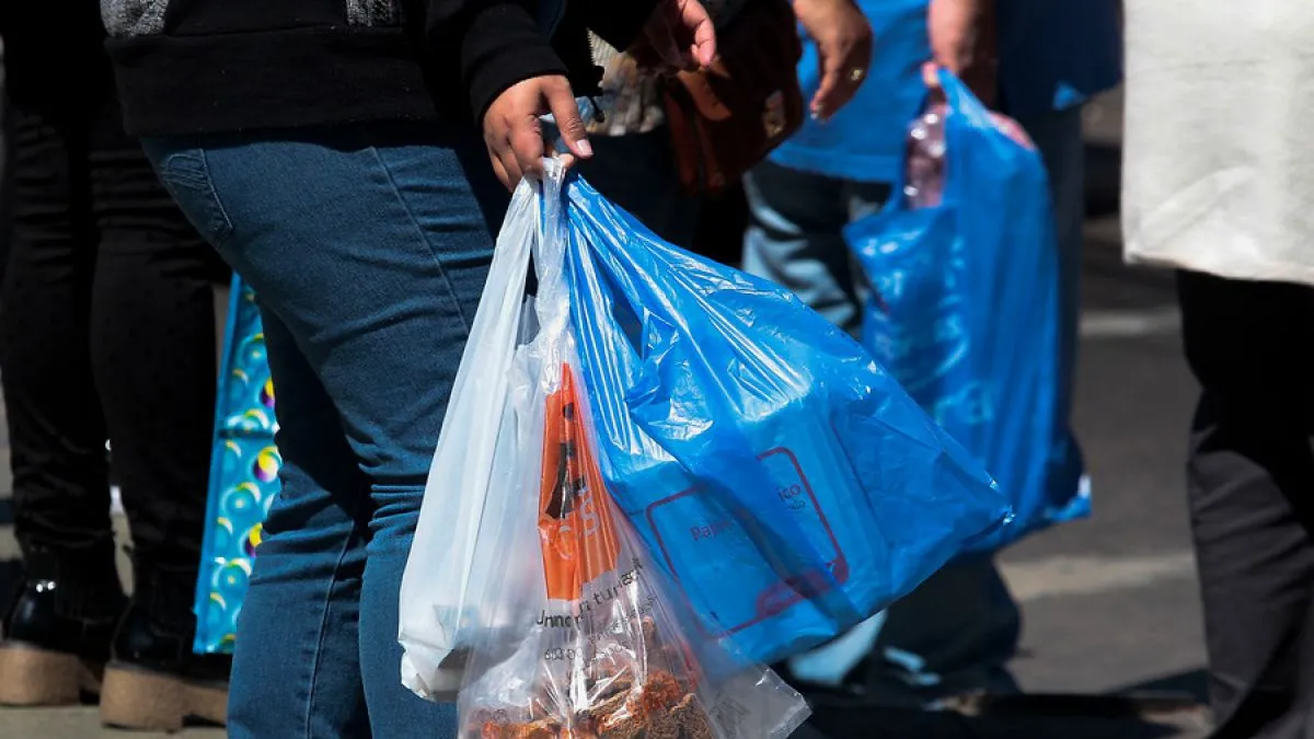 Puebla to Reinstate Plastic Bag Ban with Fines Up to 2 Million Pesos Starting Late 2026