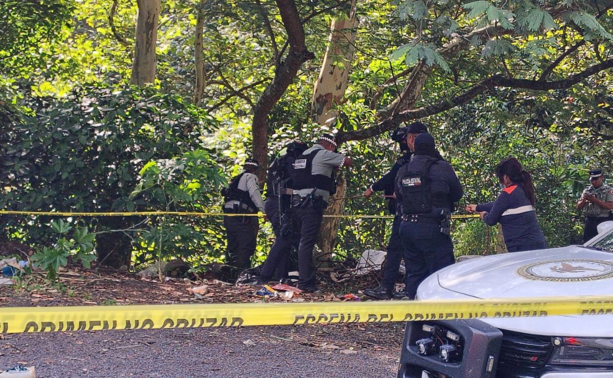Five Bodies Found Abandoned Along Orizaba-Puebla Highway, Veracruz Authorities Investigate