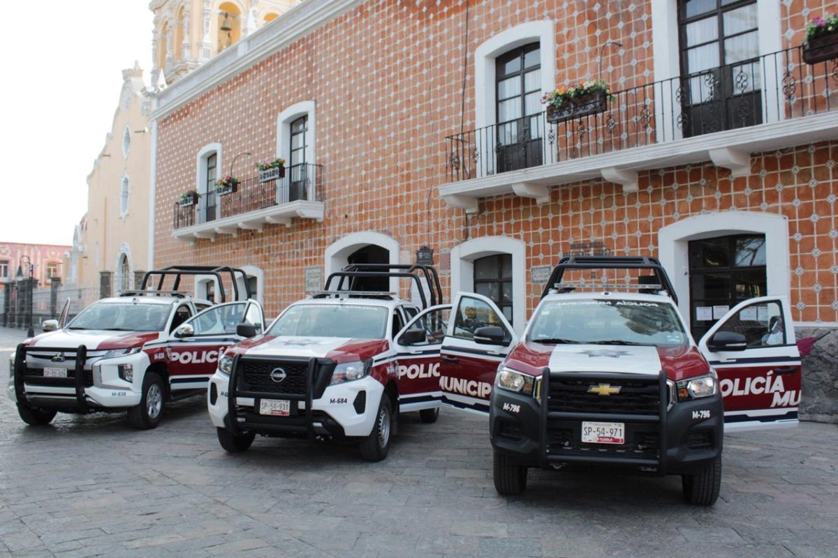 Six Dogs Poisoned in Atlixco: State Authorities Launch Investigation